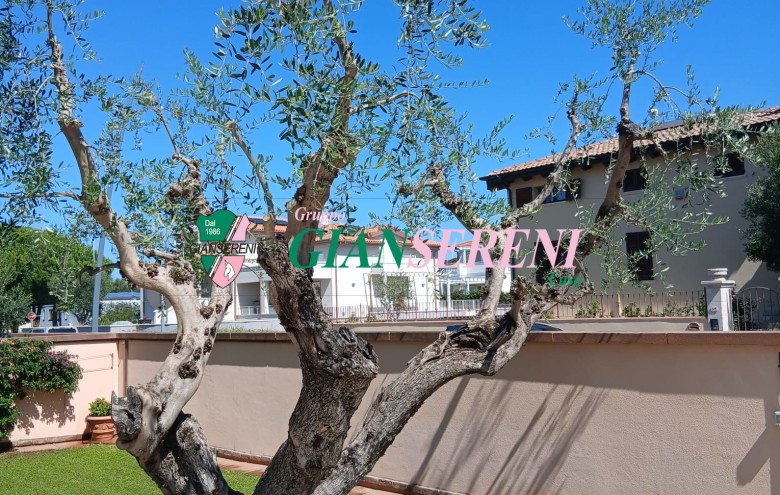 Agenzia Giansereni - 