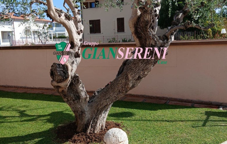 Agenzia Giansereni - 