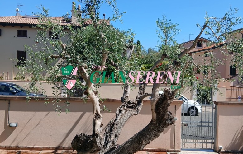 Agenzia Giansereni - 