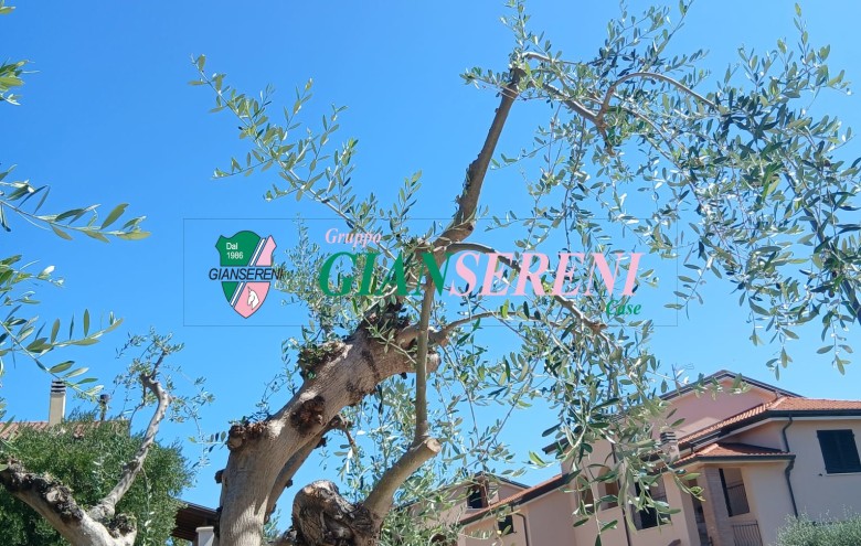 Agenzia Giansereni - 