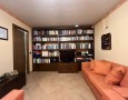 Pegasus - 