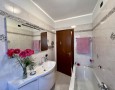 Pegasus - 