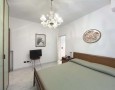 Pegasus - 