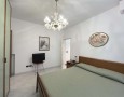 Pegasus - 