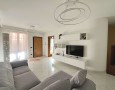 Pegasus - 