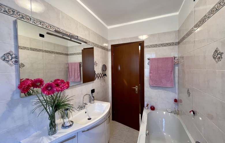 Agenzia Pegasus - 