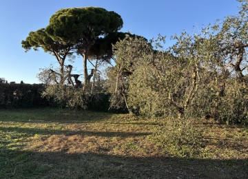 Terreno agricolo di 1200 mq co