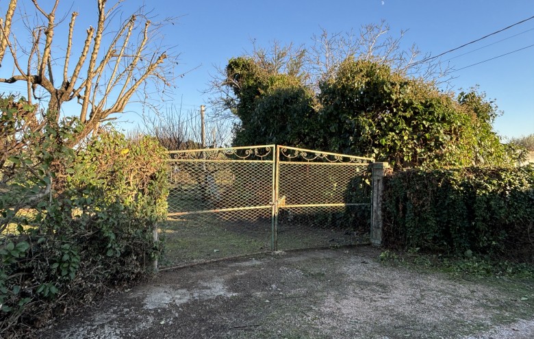 Agenzia Giansereni - 