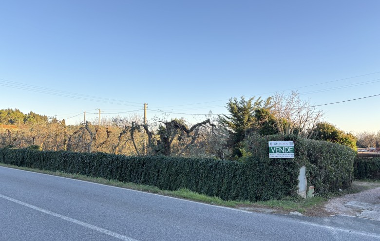 Agenzia Giansereni - 