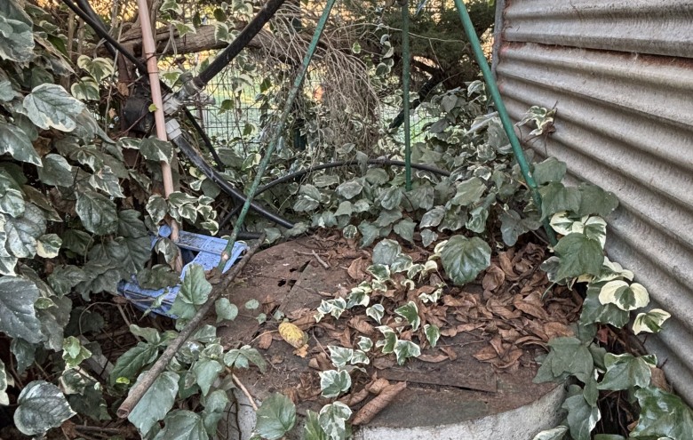 Agenzia Giansereni - 