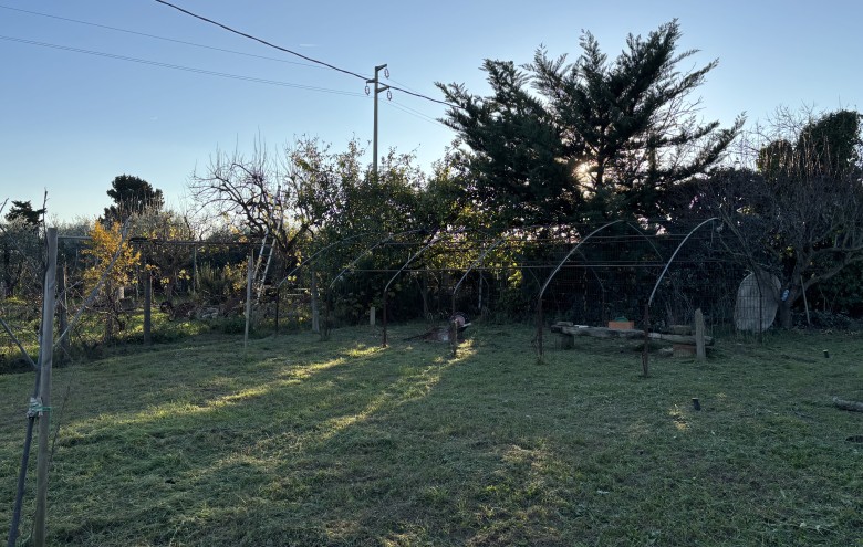 Agenzia Giansereni - 