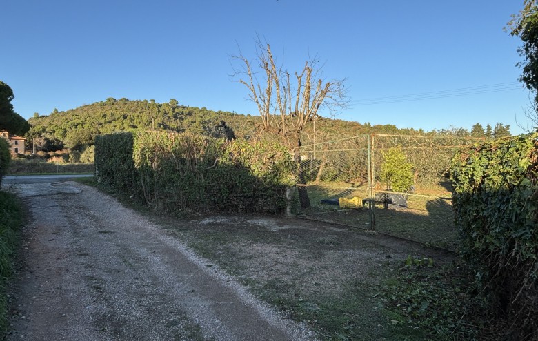 Agenzia Giansereni - 