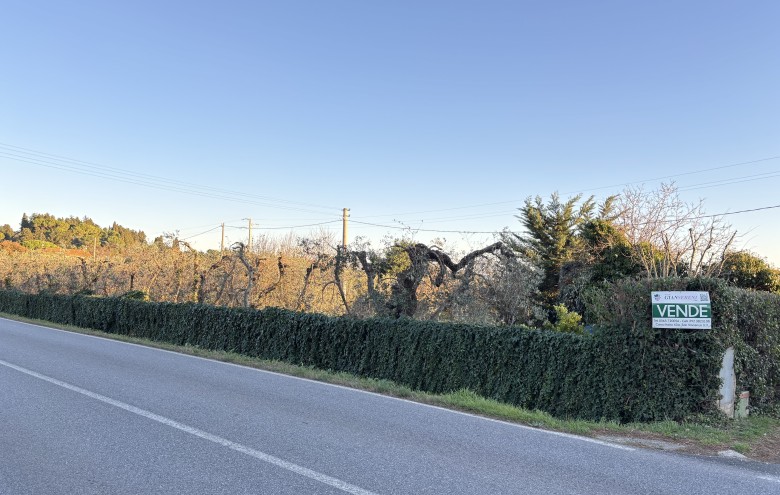 Agenzia Giansereni - 