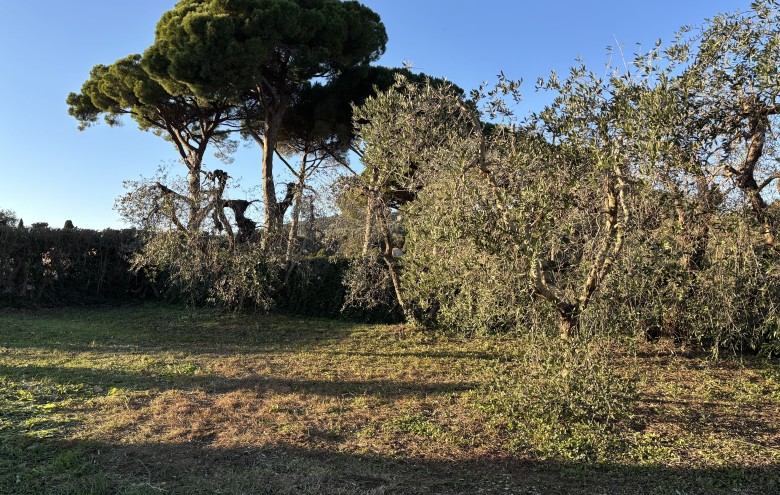 Agenzia Giansereni - 