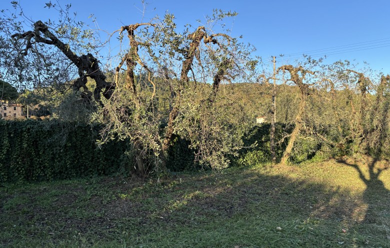 Agenzia Giansereni - 