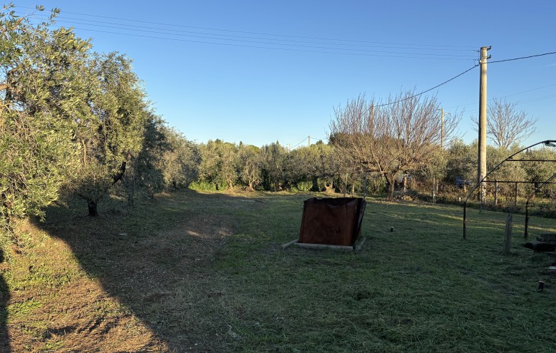 Agenzia Giansereni - 