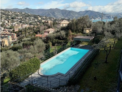 Immobile LT  803 VILLA LA QUIETE - Villa Singola in Affitto a Santa Margherita Ligure