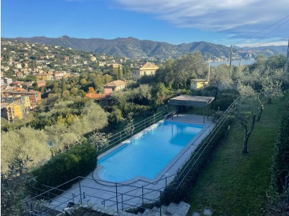 Immobile LT  803 VILLA LA QUIETE - Villa Singola in Affitto a Santa Margherita Ligure