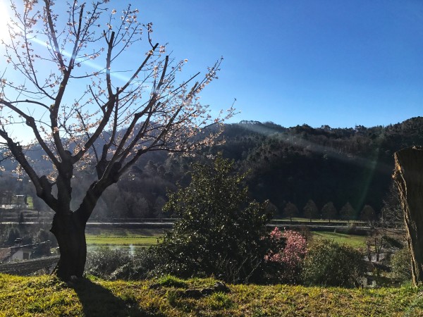 Rif. VV62 - villa in vendita a Camaiore | Foto 11