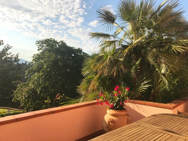 Rif. VV62 - villa in vendita a Camaiore | Foto 4