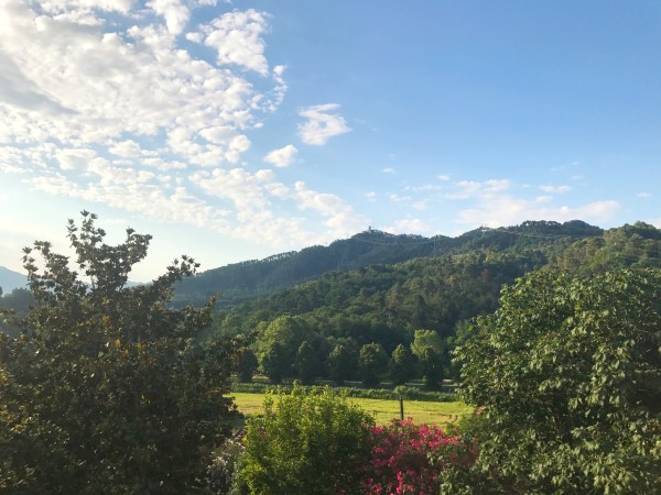 Rif. VV62 - villa in vendita a Camaiore | Foto 6