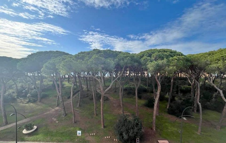 Agenzia Giansereni - 