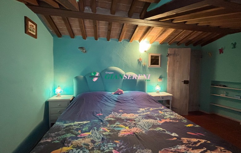 Agenzia Giansereni - 