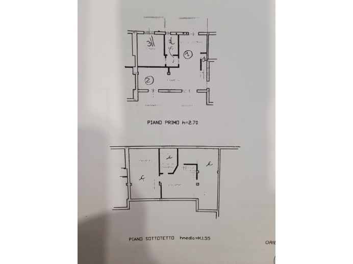 Agenzia Immobiliare Pegasus - Planimetria 1