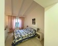 Pegasus - 