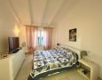 Pegasus - 