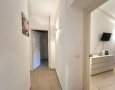 Pegasus - 