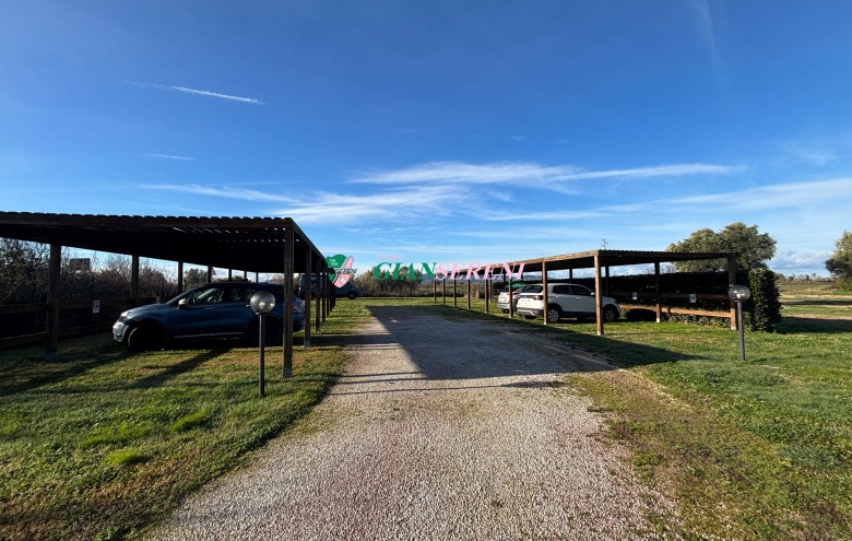 Agenzia Giansereni - 