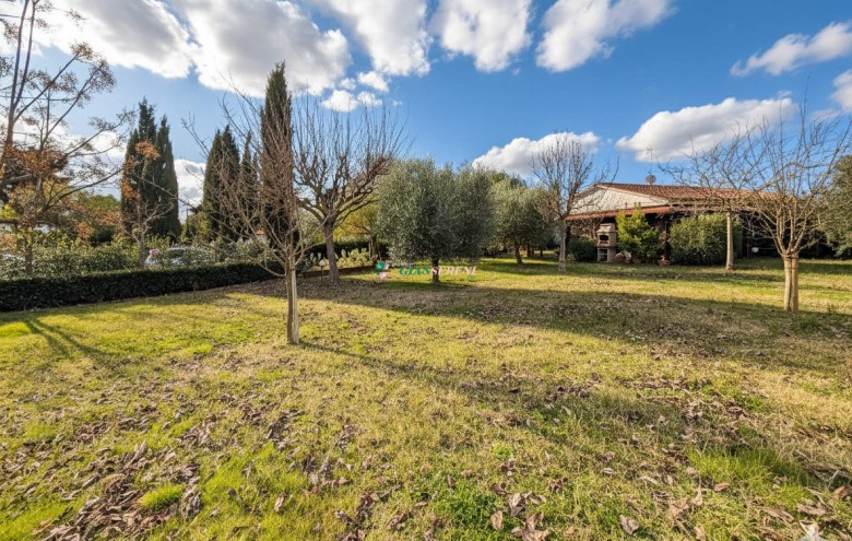 Agenzia Giansereni - 