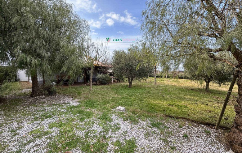 Agenzia Giansereni - 