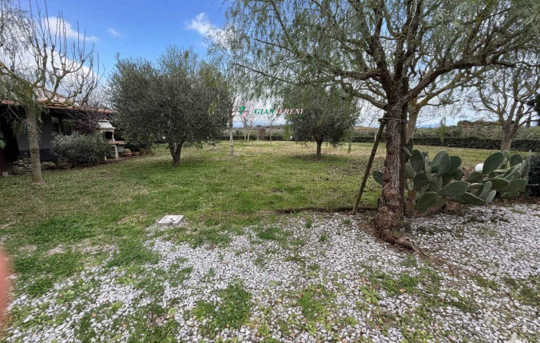 Agenzia Giansereni - 