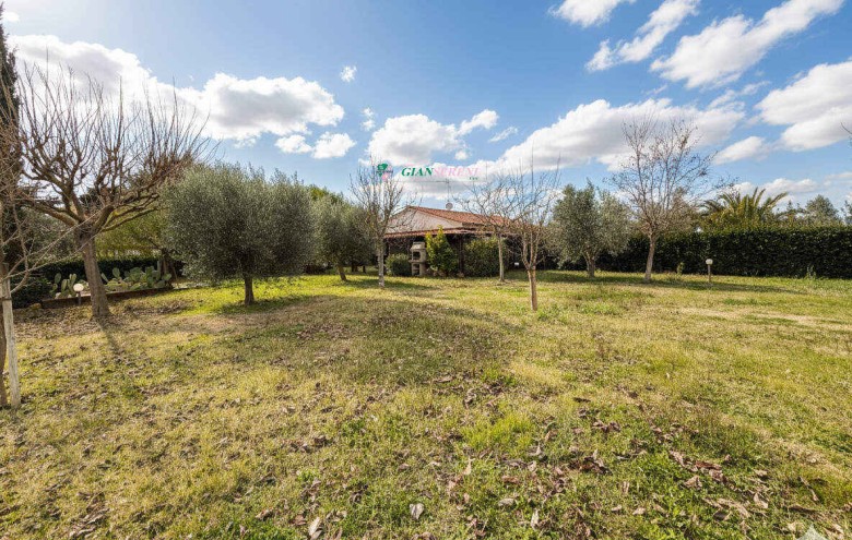 Agenzia Giansereni - 