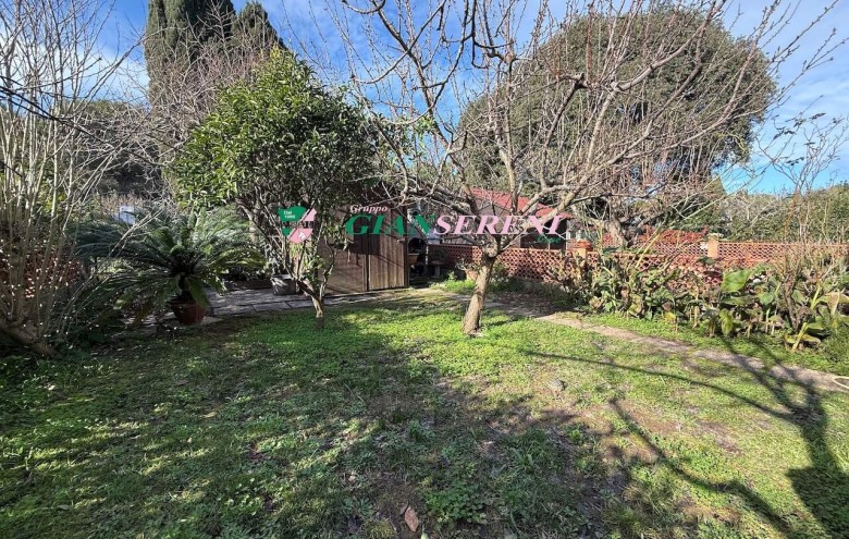 Agenzia Giansereni - 