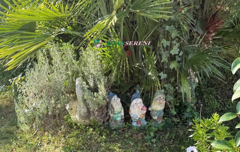 Agenzia Giansereni - 