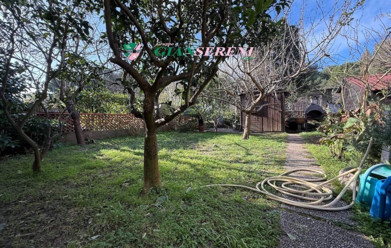 Agenzia Giansereni - 