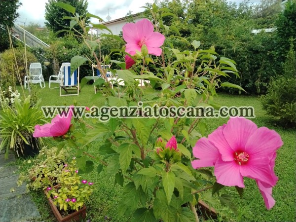 Appartamento in affitto, Forte Dei Marmi - Centrale -  3