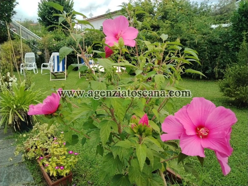 Appartamento in affitto, Forte Dei Marmi - Centrale - 3