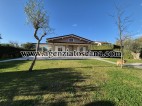 Villa in affitto, Forte Dei Marmi - Centro Ponente - 0