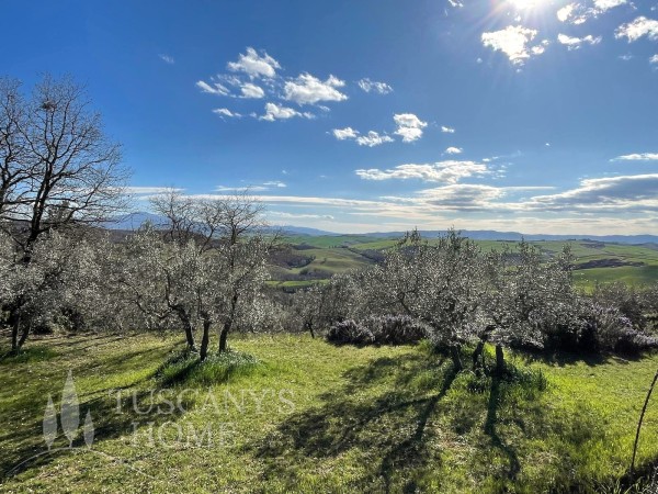 Reference V556 - Semi-detached House for Sale in Castelmuzio