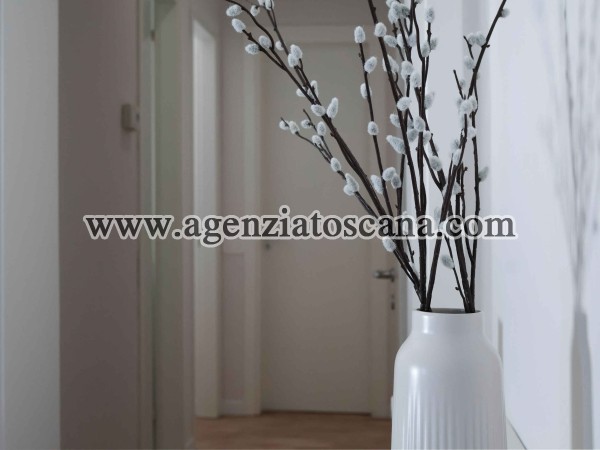 Appartamento in affitto, Massa - Marina Di Massa -  24