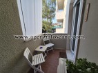 Appartamento in affitto, Forte Dei Marmi - Centrale -  8