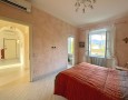 Pegasus - 