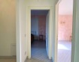 Pegasus - 