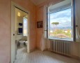 Pegasus - 