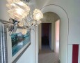 Pegasus - 