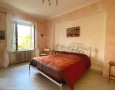 Pegasus - 